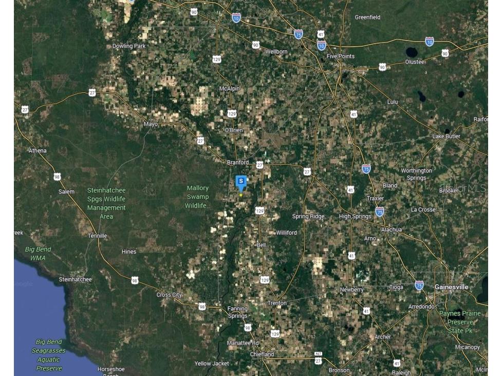 301 SE Cheetah Lane Branford FL 32008 A4697596 image4