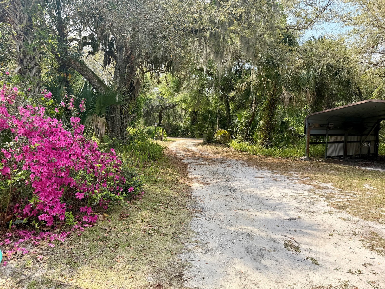 301 Shady Woods Road Geneva FL 32732 O6374609 image43