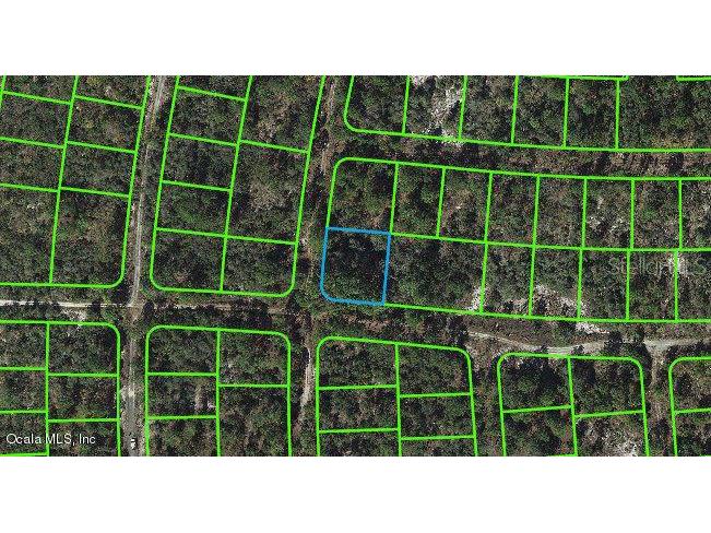 301 Sunny Side Drive Lake Placid FL 33852 OM542057 image1