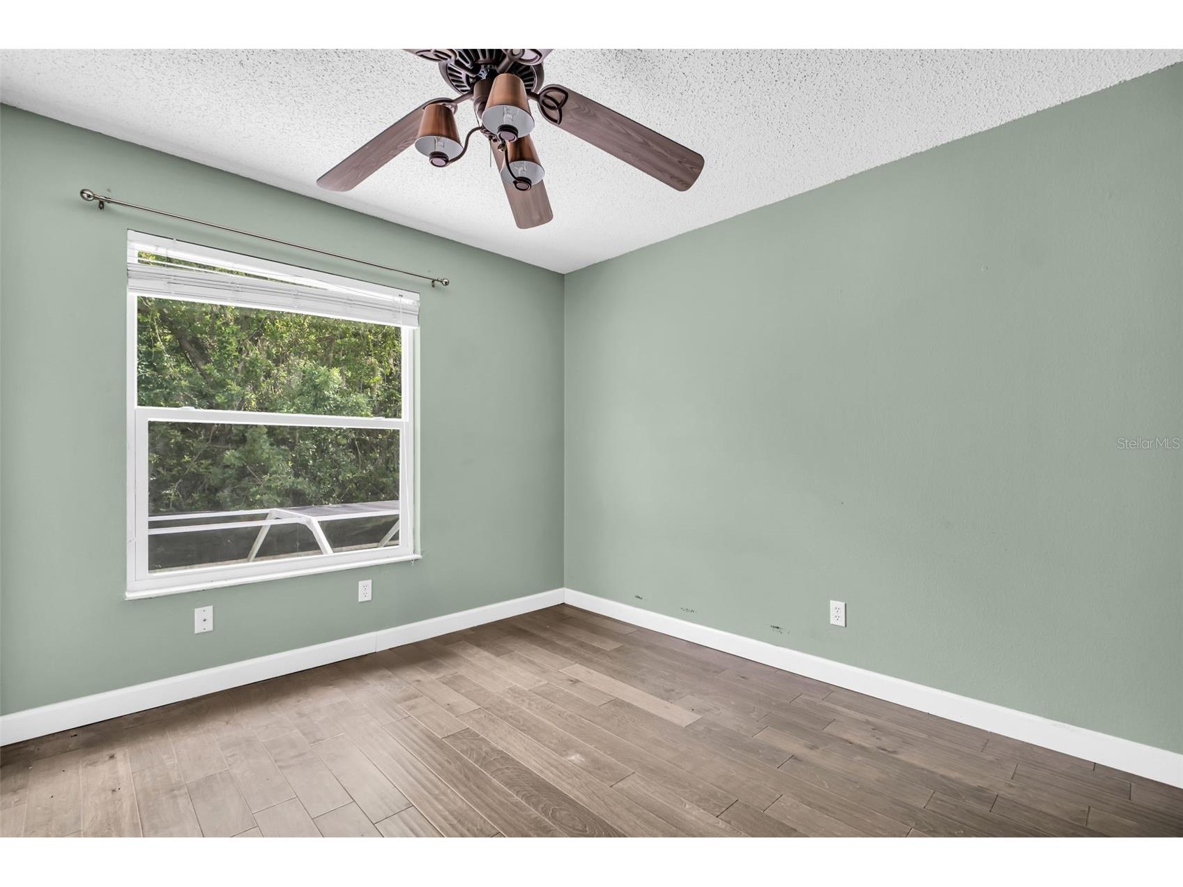 301 Tavernier Drive Oldsmar FL 34677 TB8491384 image32