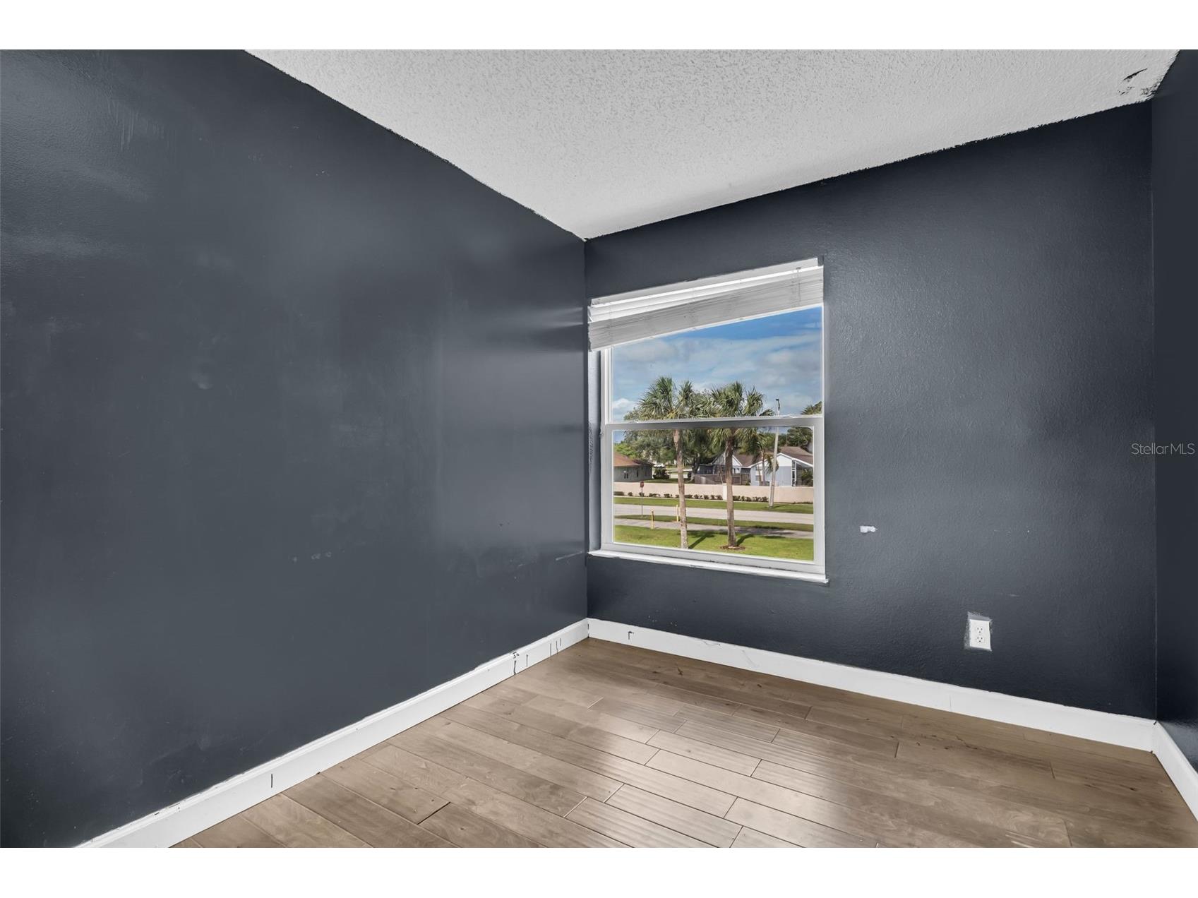 301 Tavernier Drive Oldsmar FL 34677 TB8491384 image37