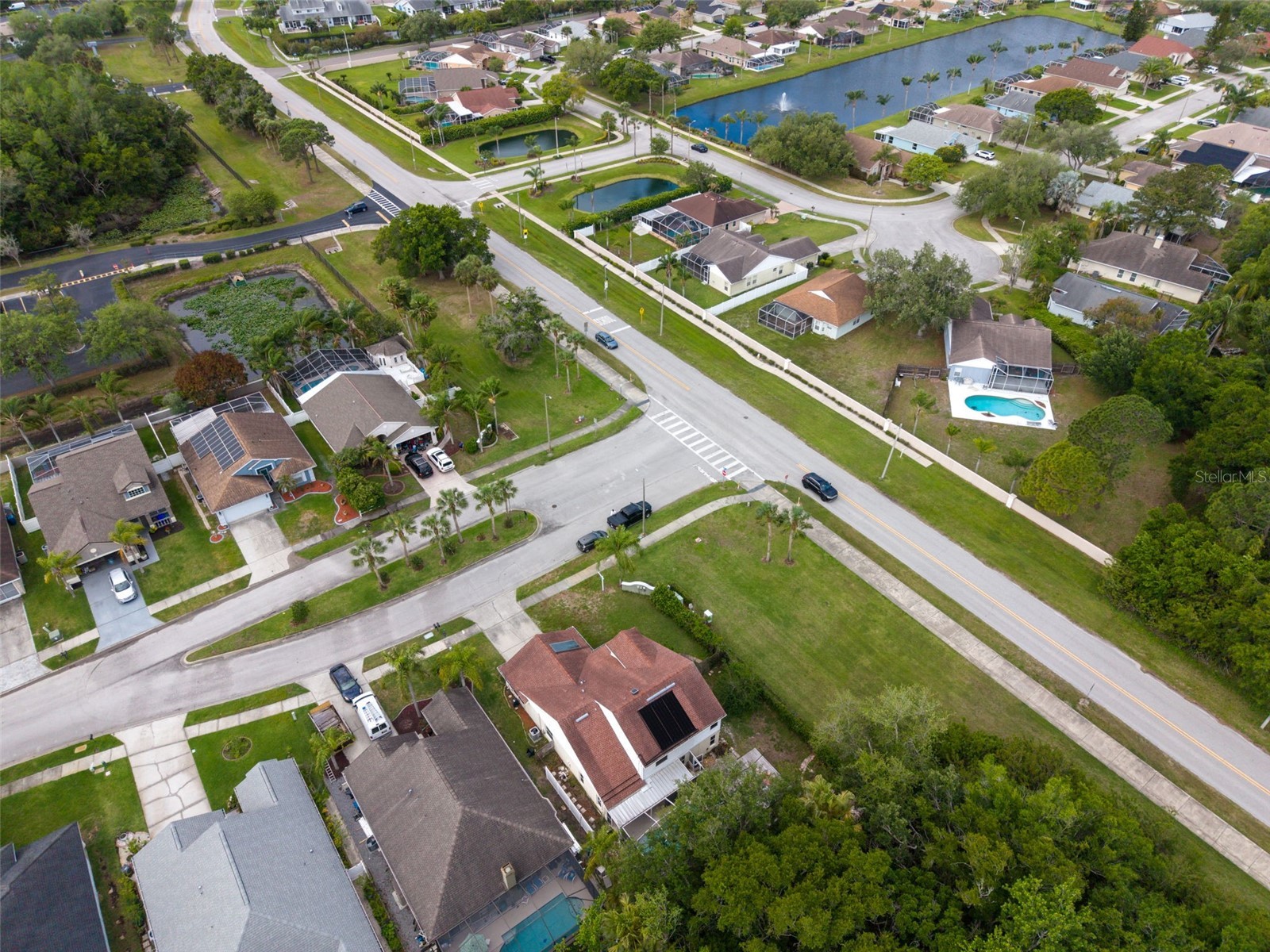301 Tavernier Drive Oldsmar FL 34677 TB8491384 image57