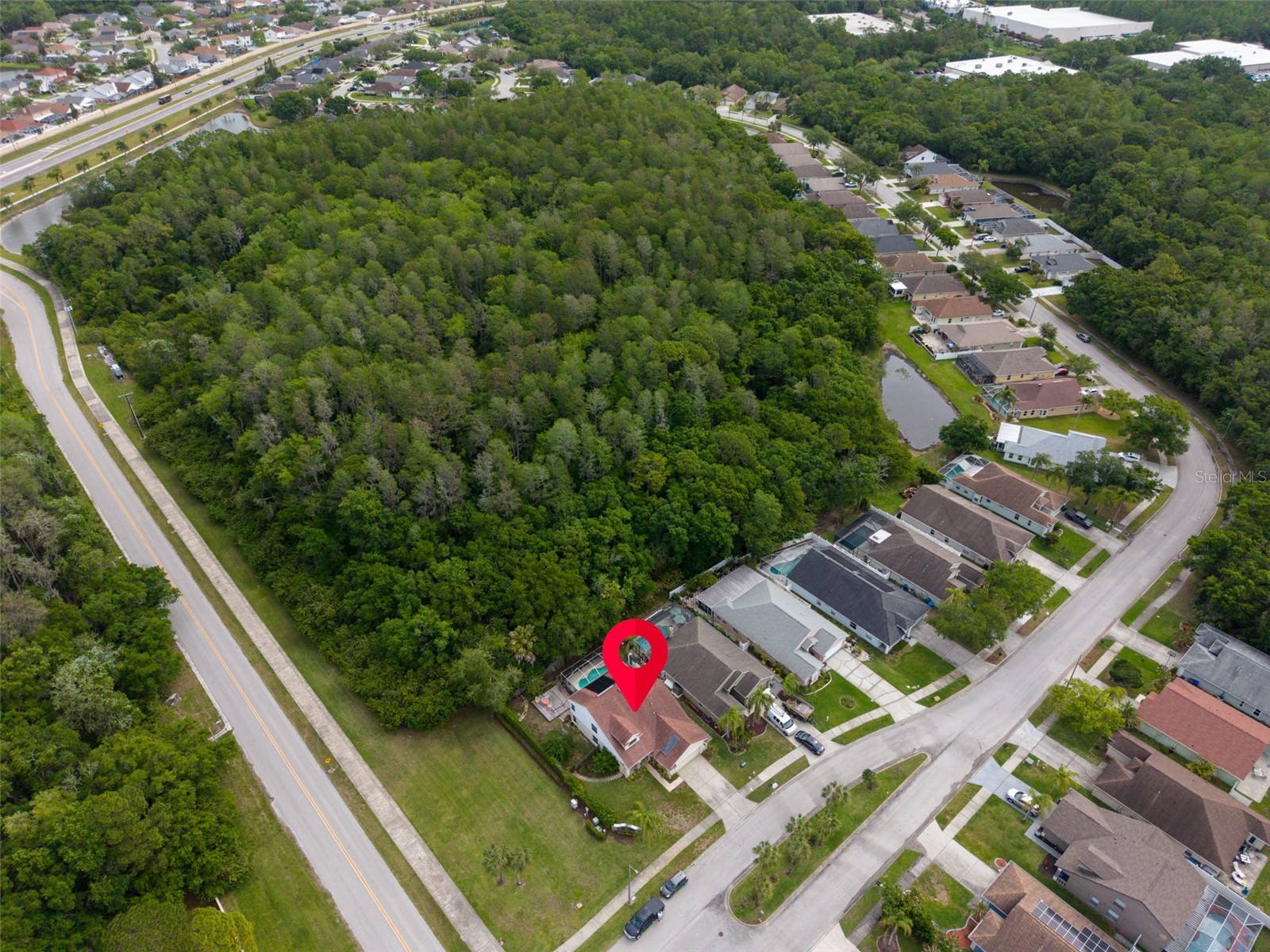 301 Tavernier Drive Oldsmar FL 34677 TB8491384 image67
