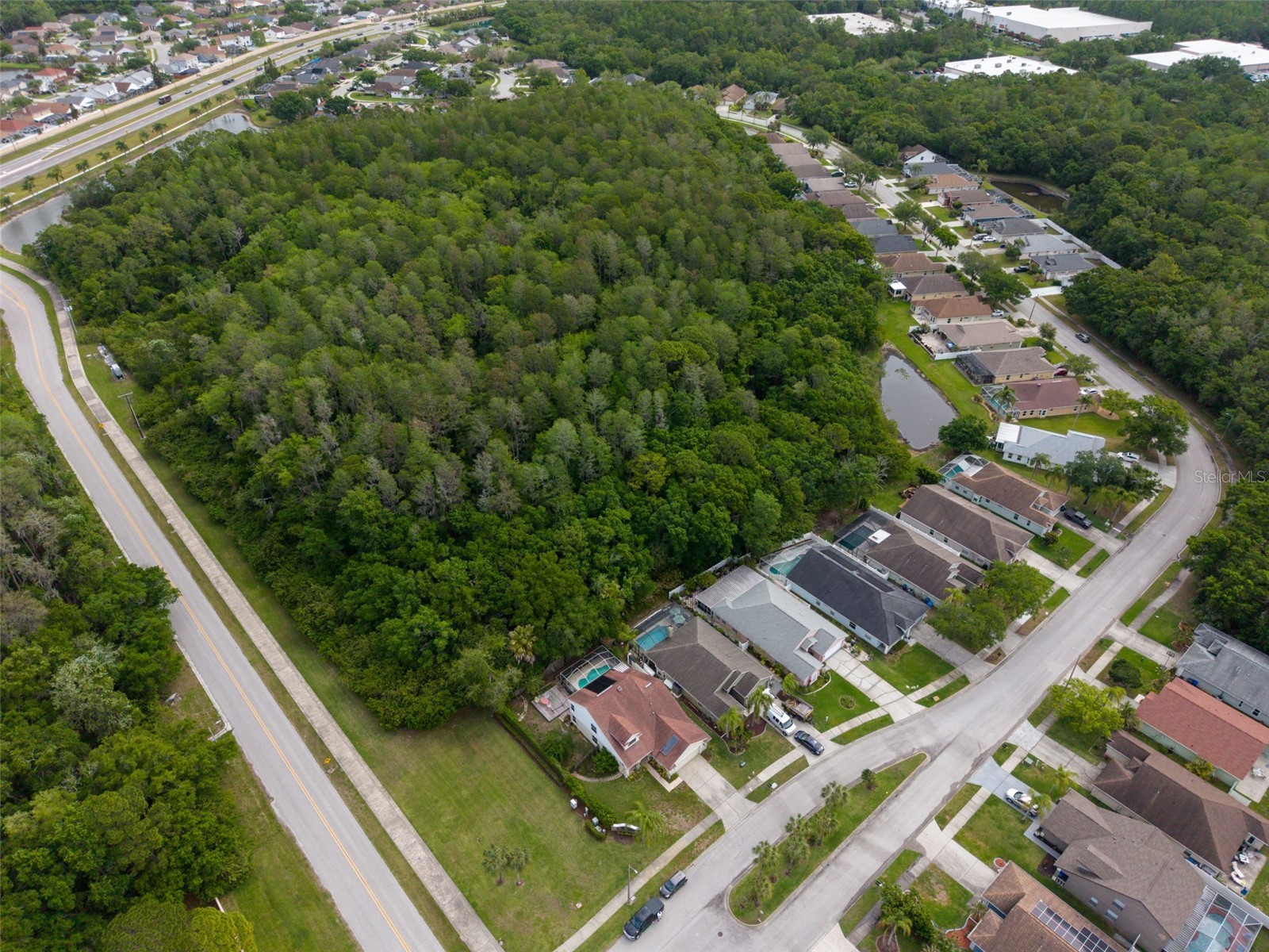 301 Tavernier Drive Oldsmar FL 34677 TB8491384 image68