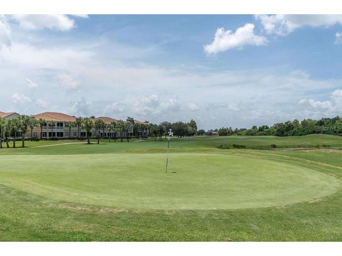 301 Thorn Hill Place Sun City Center FL 33573 C7515255 image44