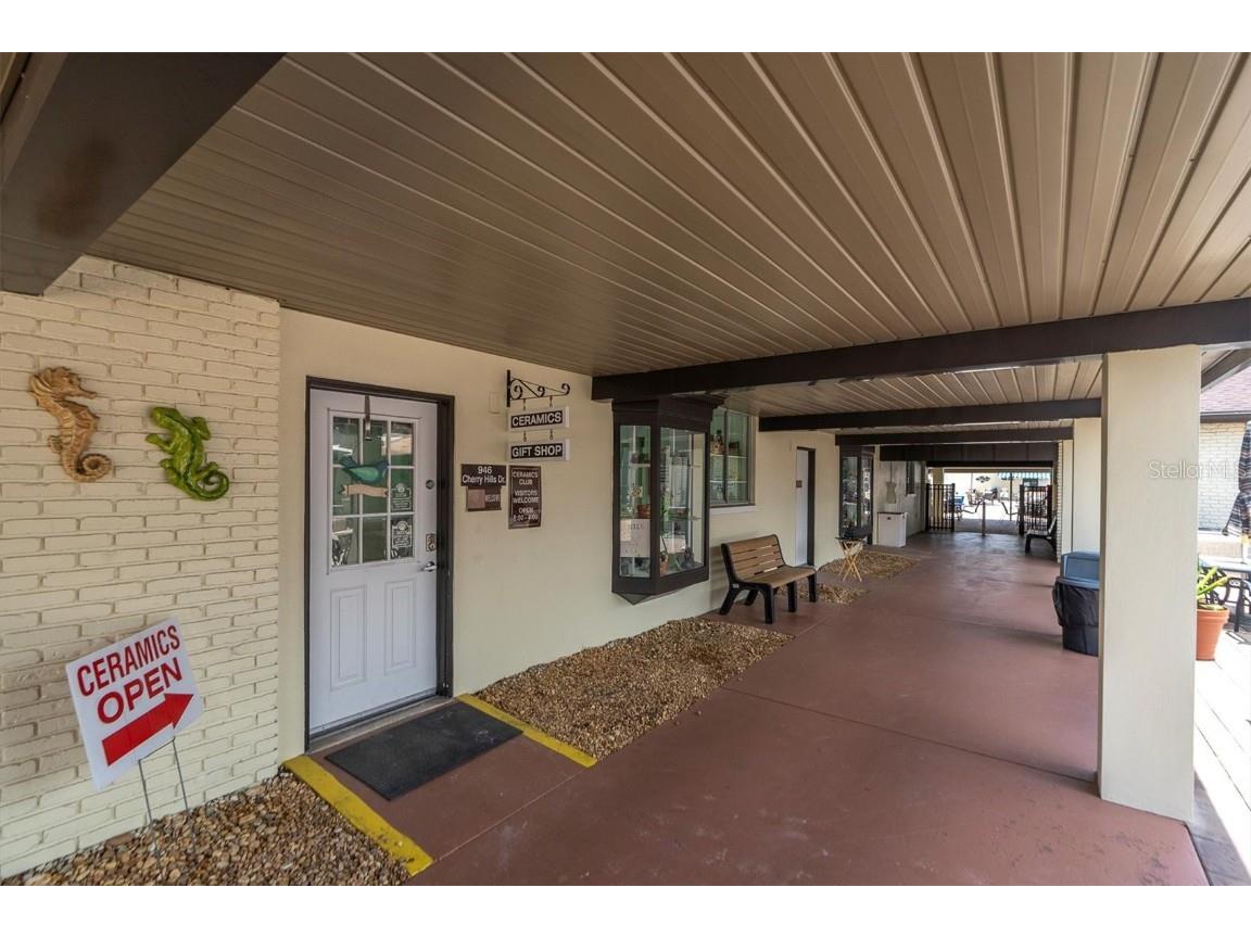 301 Thorn Hill Place Sun City Center FL 33573 C7515255 image47