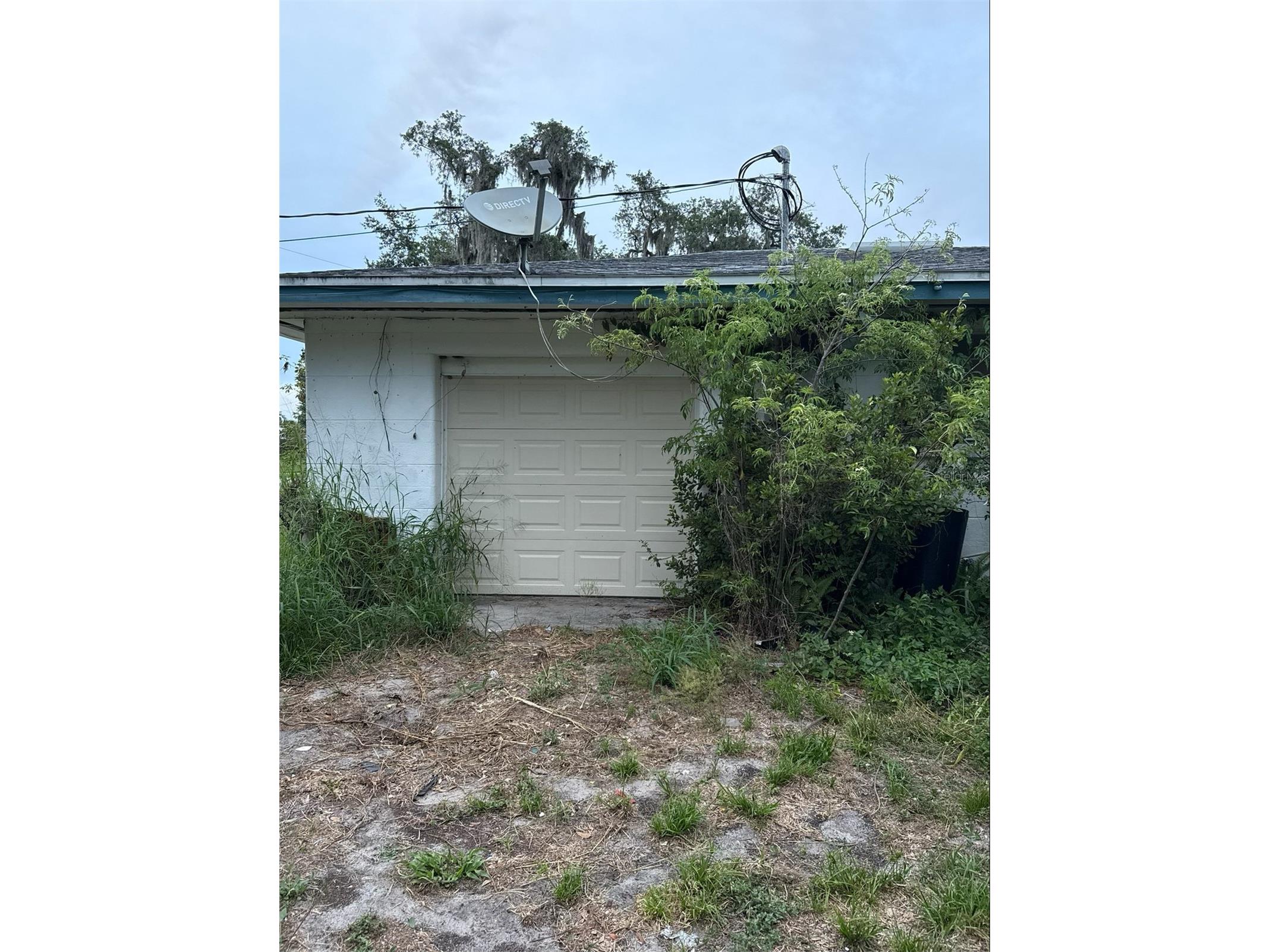 301 W Lemon Street Bowling Green FL 33834 P4939254 image5