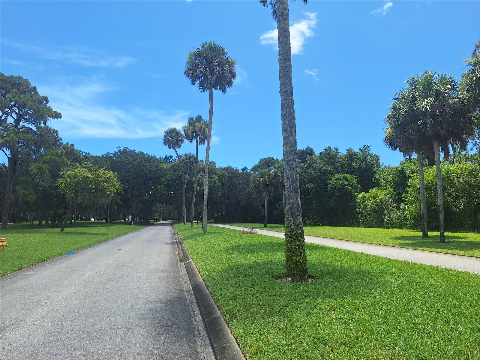 301 Water Landing Drive Oak Hill FL 32759 NS1088621 image44