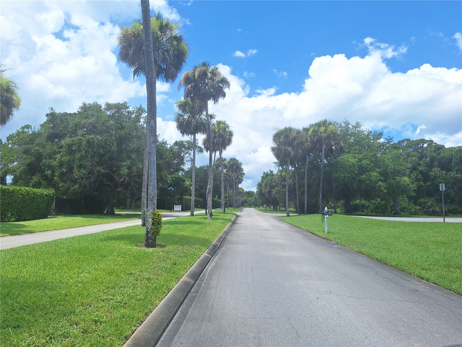 301 Water Landing Drive Oak Hill FL 32759 NS1088621 image45