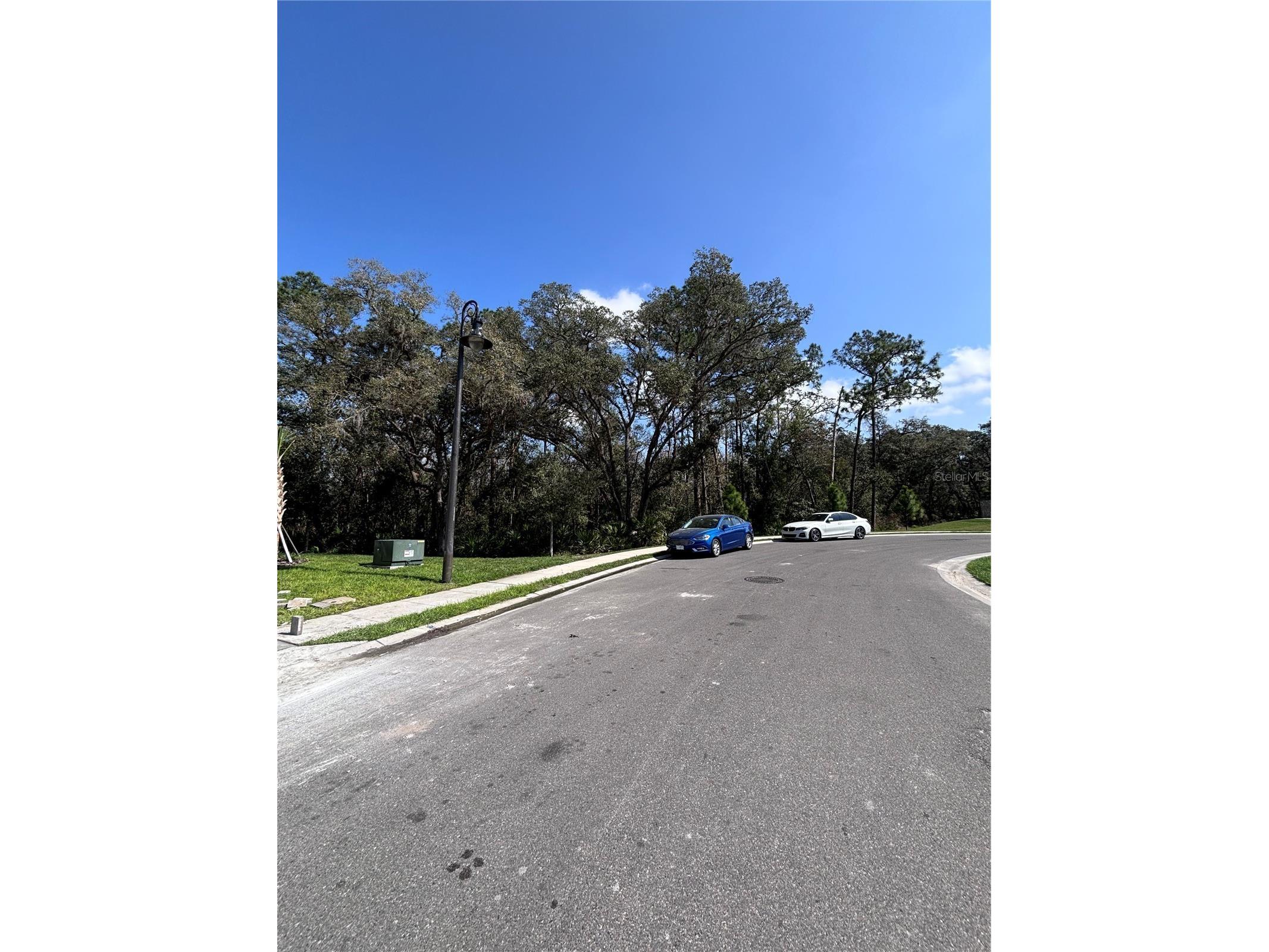 3010 Canary Avenue Davenport FL 33837 S5149739 image14