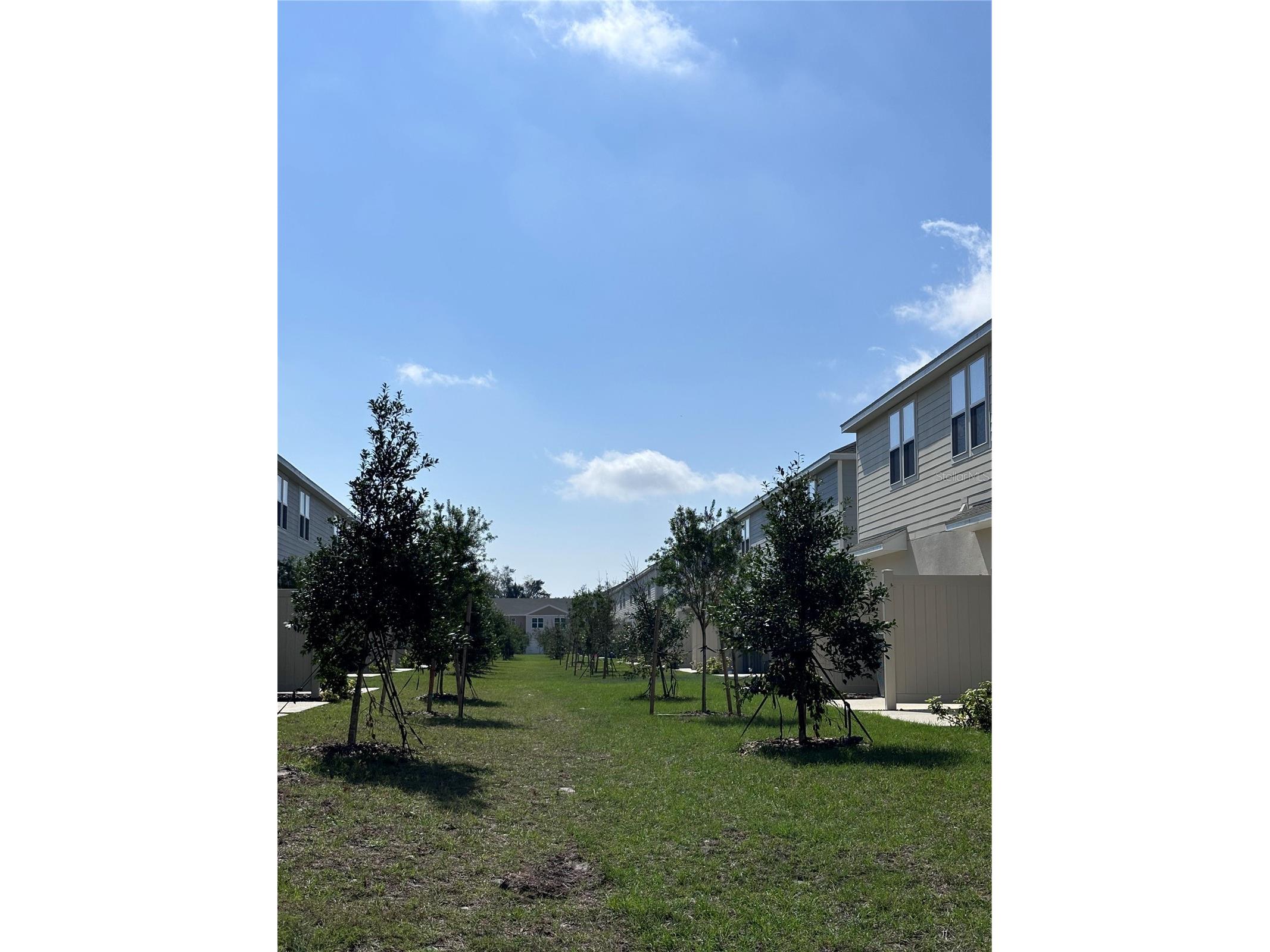 3010 Canary Avenue Davenport FL 33837 S5149739 image16