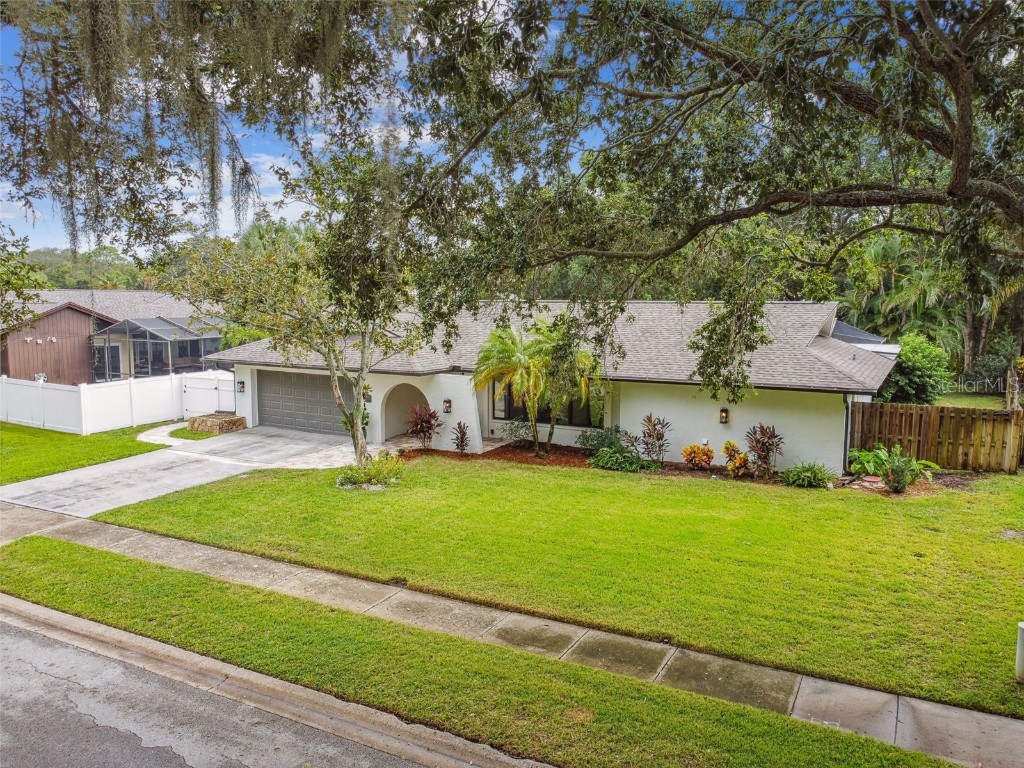 3010 Enisglen Drive Palm Harbor FL 34683 U8216602 image1