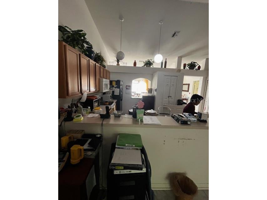 3010 Greynolds Avenue Spring Hill FL 34608 W7884245 image8