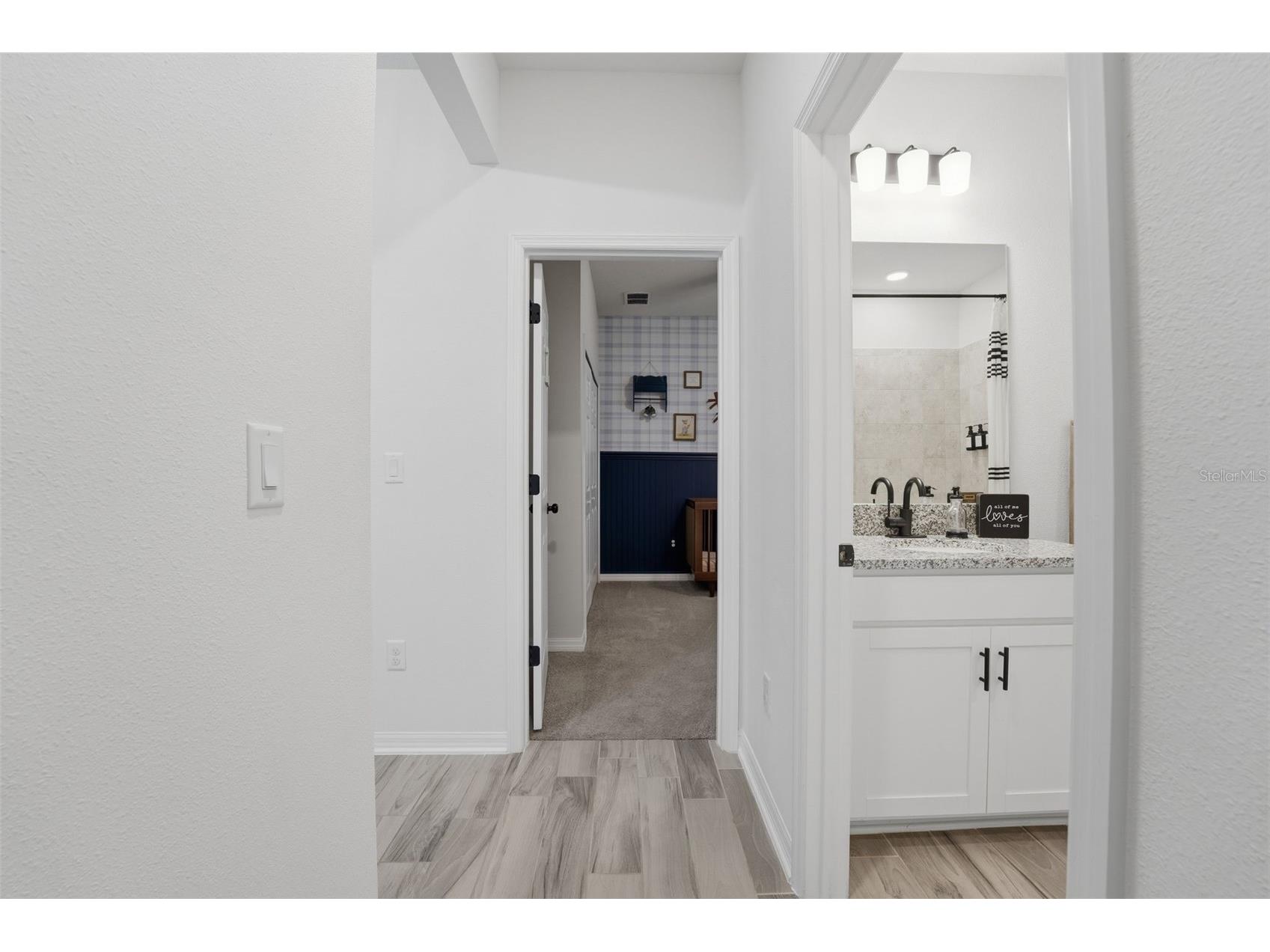 3010 Marine Grass Drive Wimauma FL 33598 A4677197 image10