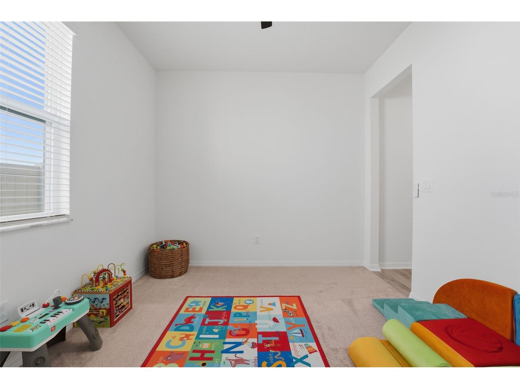 3010 Marine Grass Drive Wimauma FL 33598 A4677197 image19