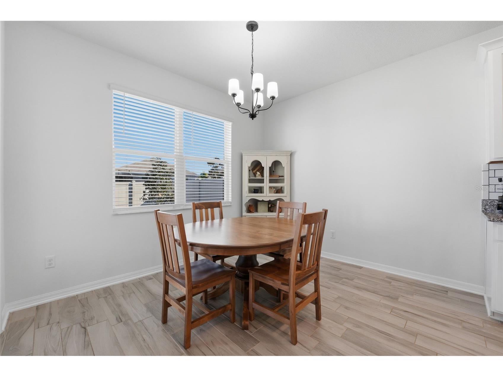 3010 Marine Grass Drive Wimauma FL 33598 A4677197 image27