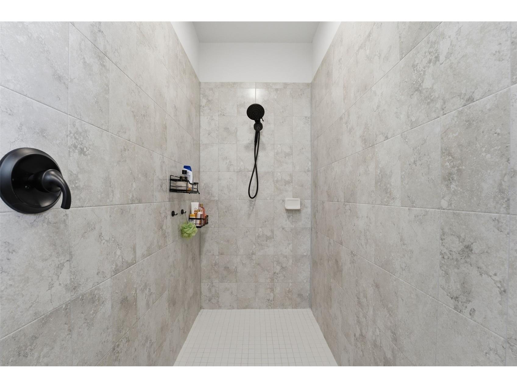 3010 Marine Grass Drive Wimauma FL 33598 A4677197 image36