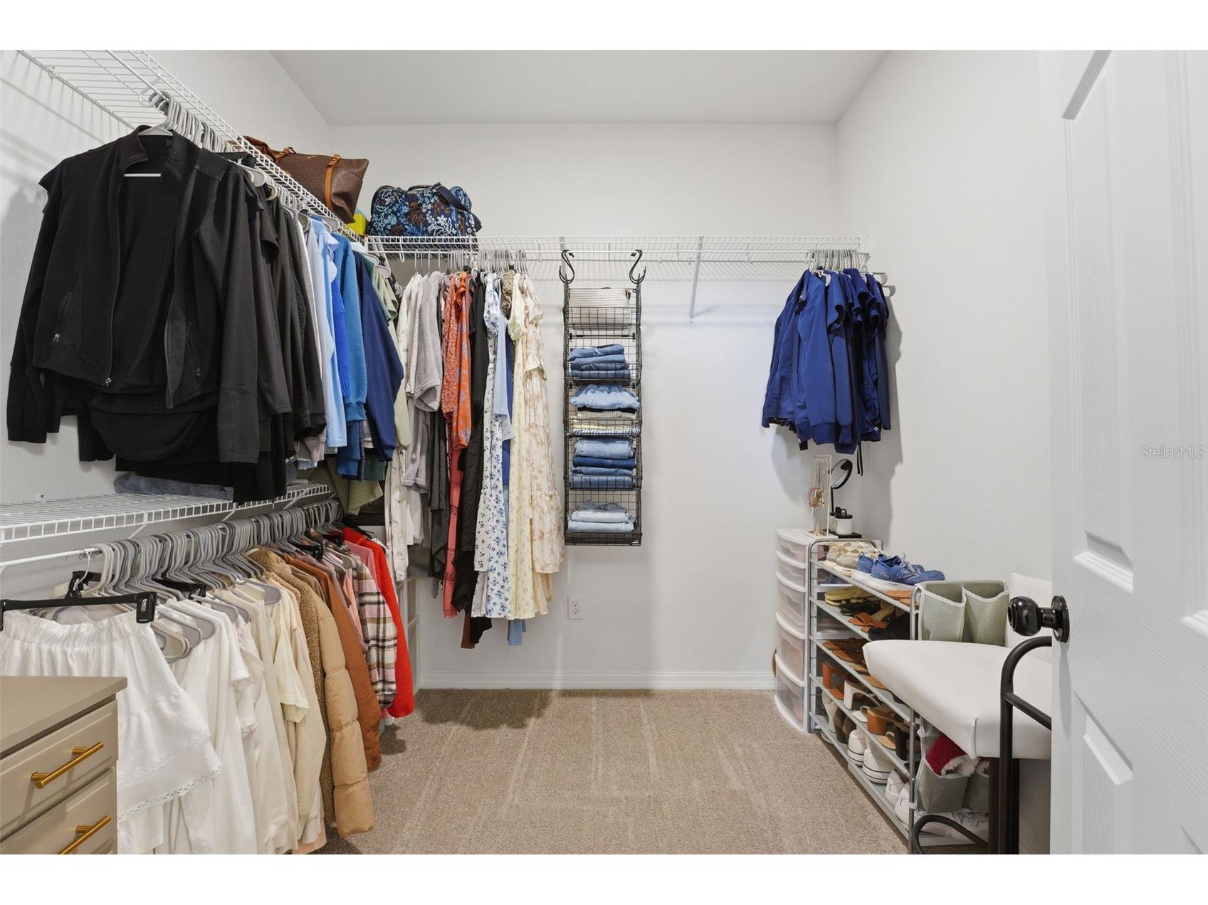 3010 Marine Grass Drive Wimauma FL 33598 A4677197 image37