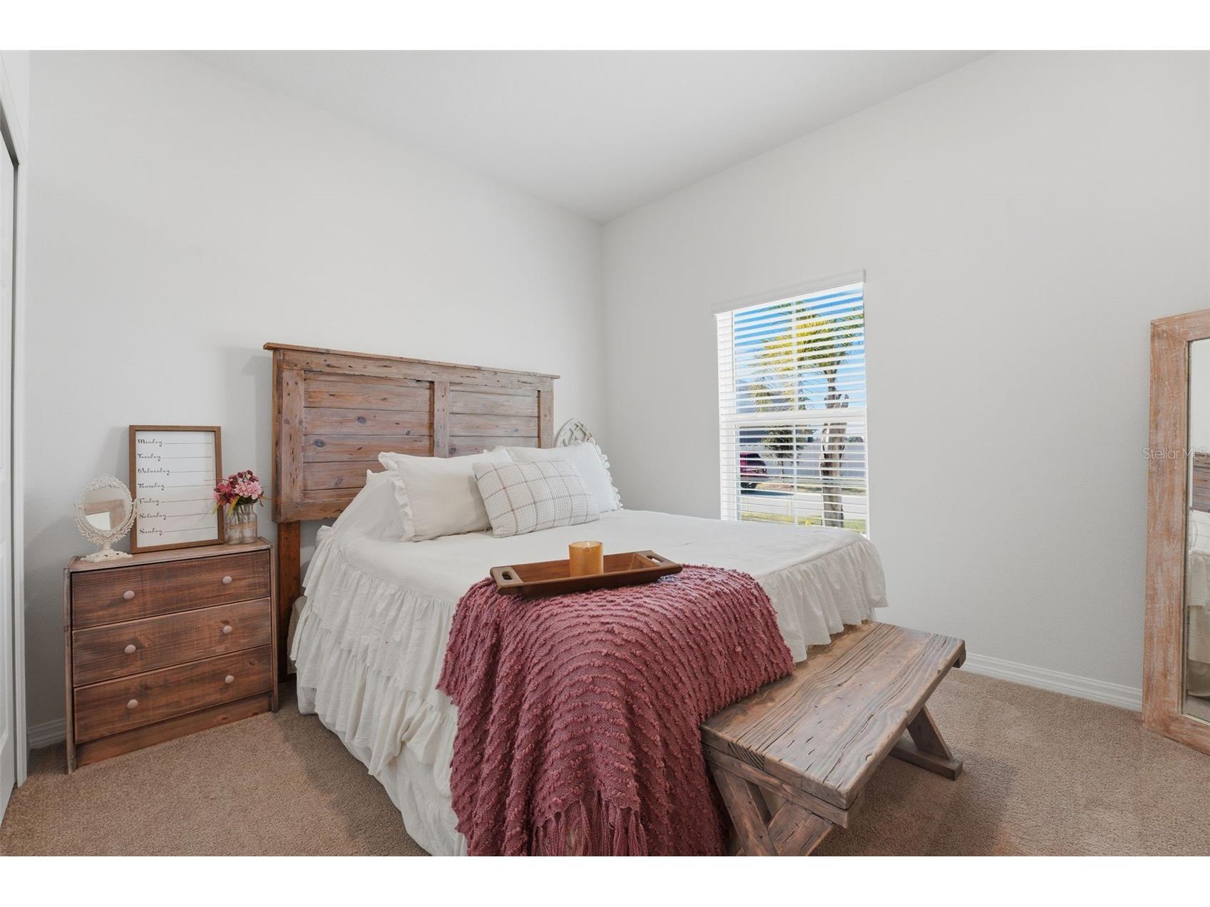 3010 Marine Grass Drive Wimauma FL 33598 A4677197 image8