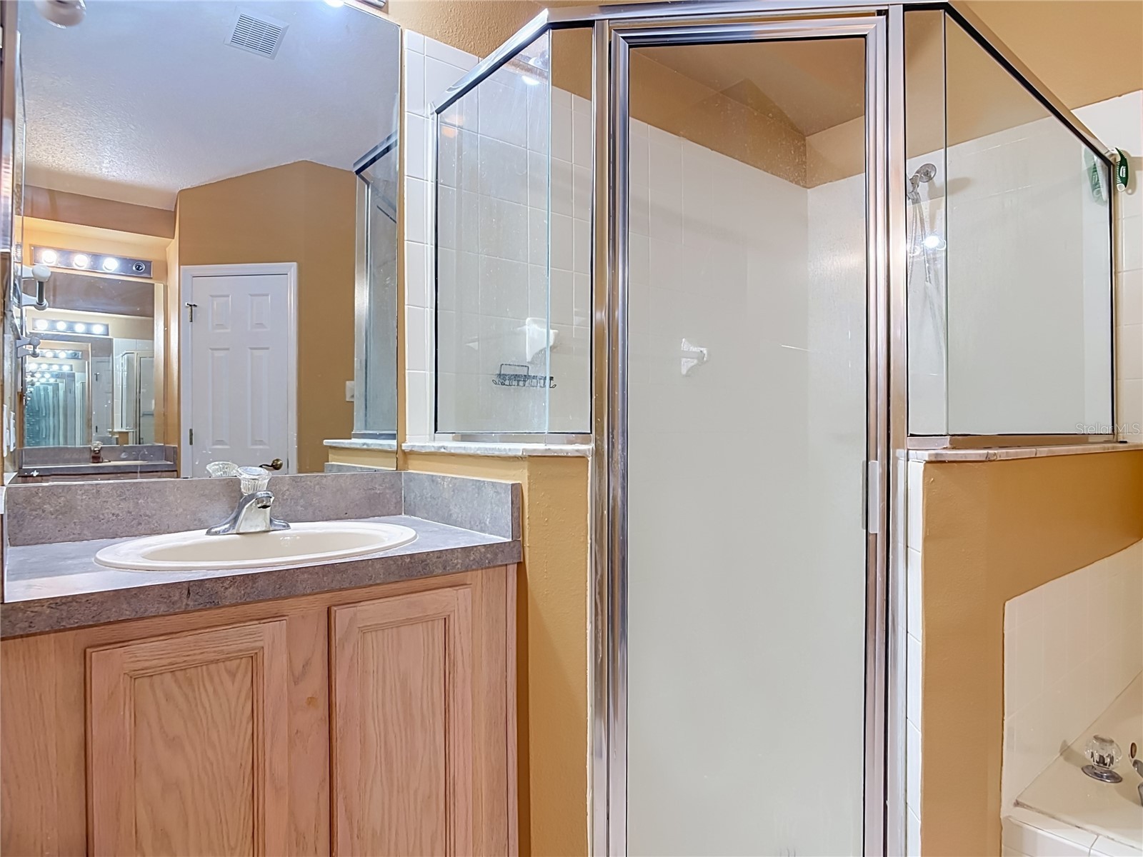 3010 Norvell Court Deltona FL 32738 O6423204 image39