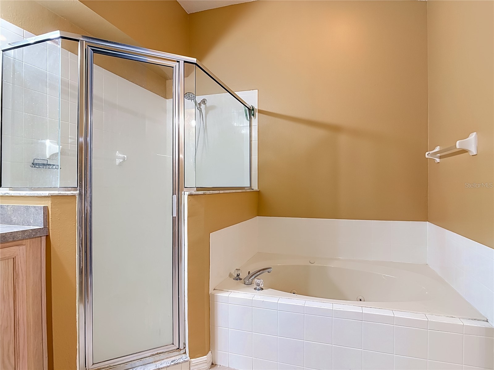3010 Norvell Court Deltona FL 32738 O6423204 image40