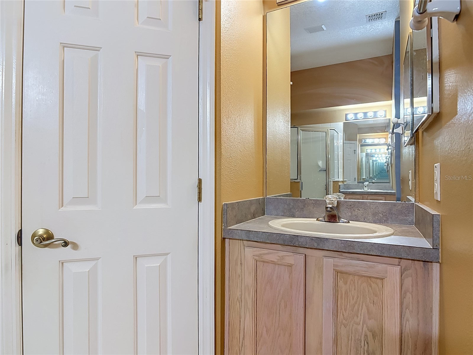 3010 Norvell Court Deltona FL 32738 O6423204 image41