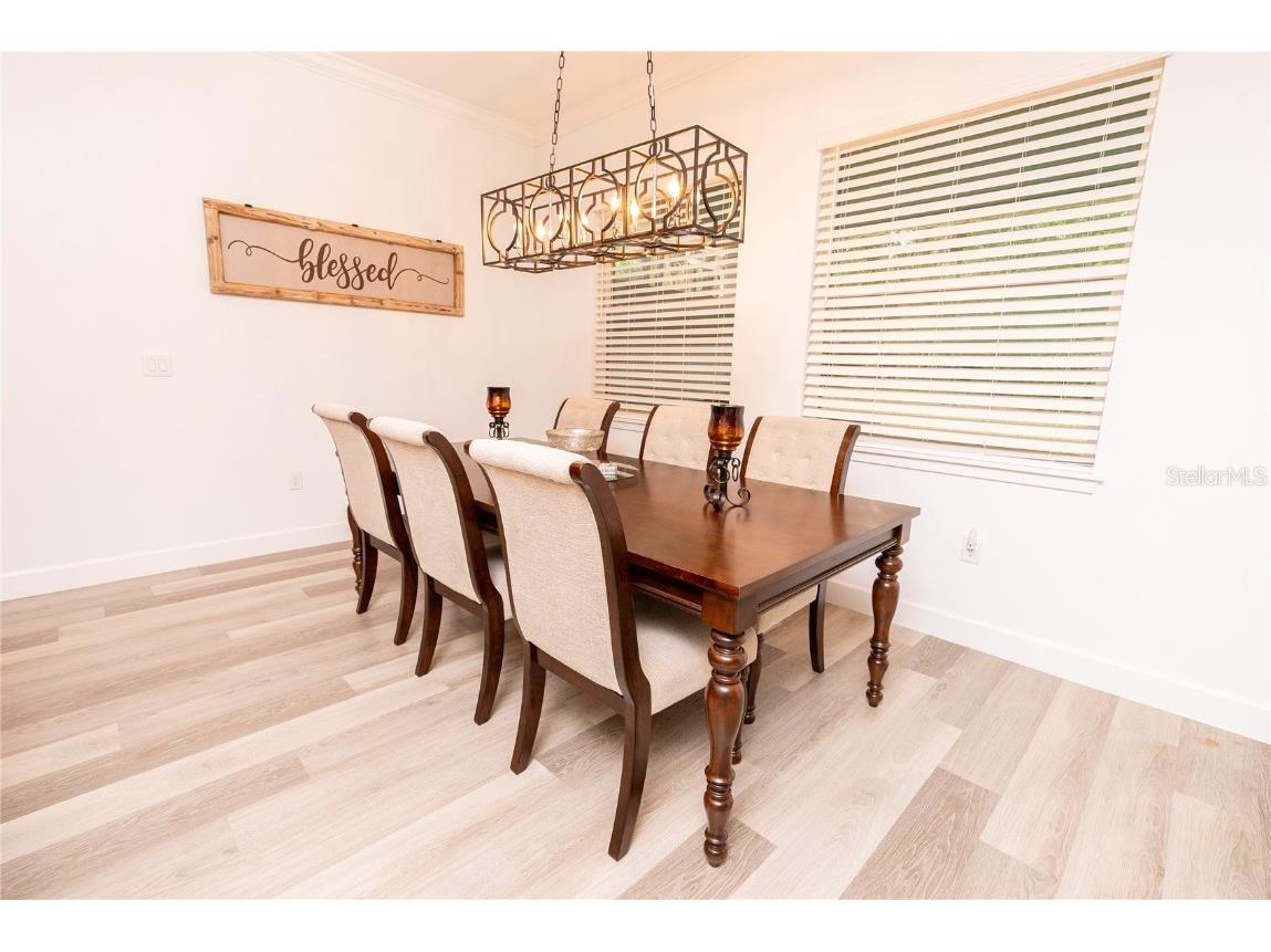 30101 Bretton Loop Mount Dora FL 32757 O6351059 image11