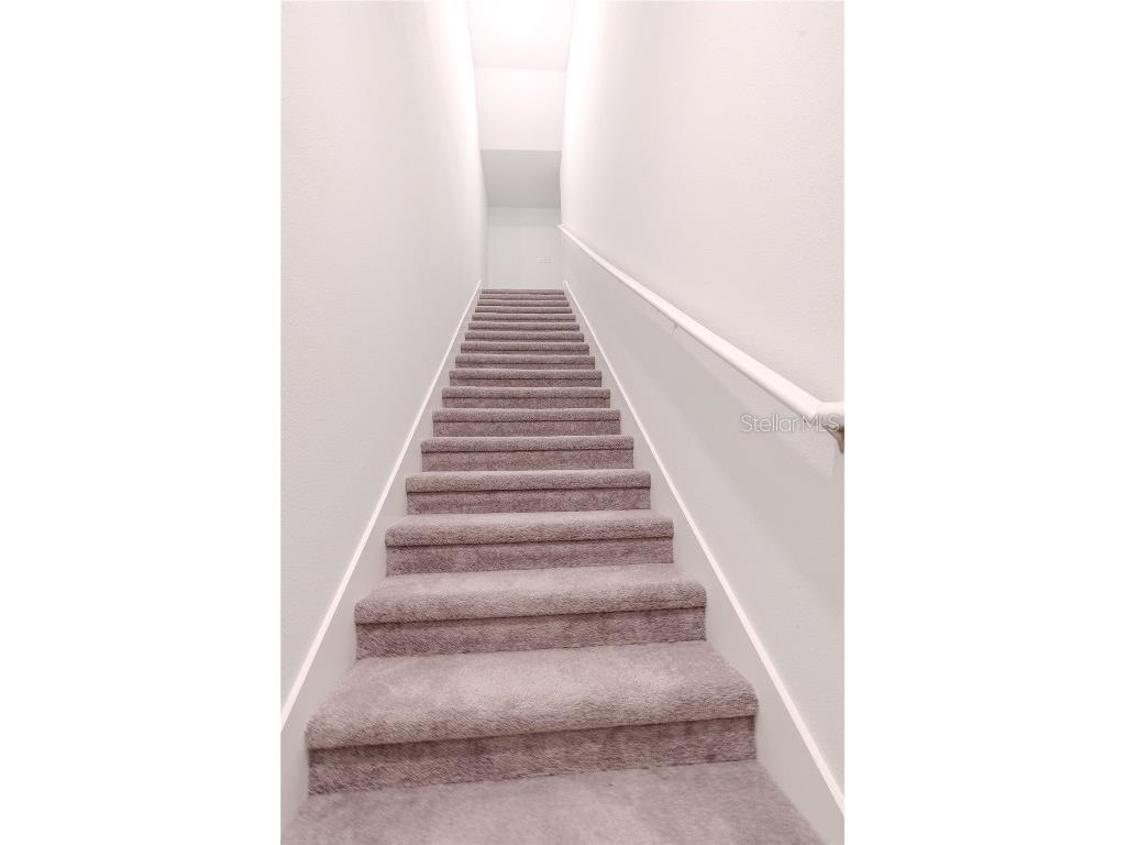 30101 Bretton Loop Mount Dora FL 32757 O6351059 image19