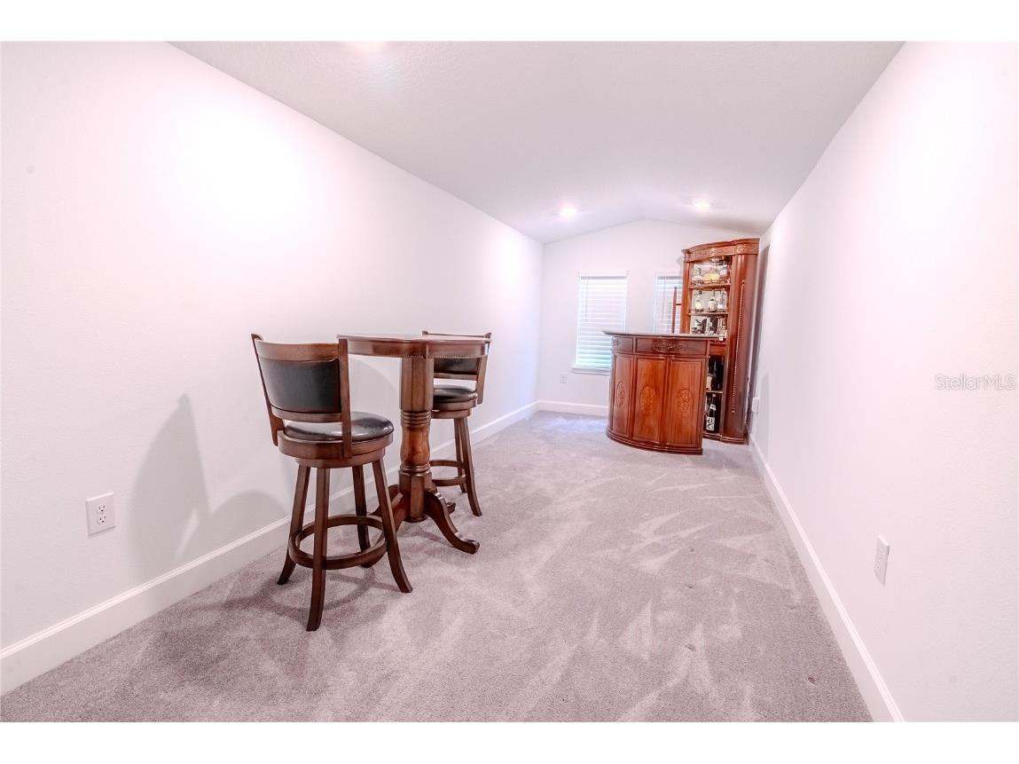 30101 Bretton Loop Mount Dora FL 32757 O6351059 image22