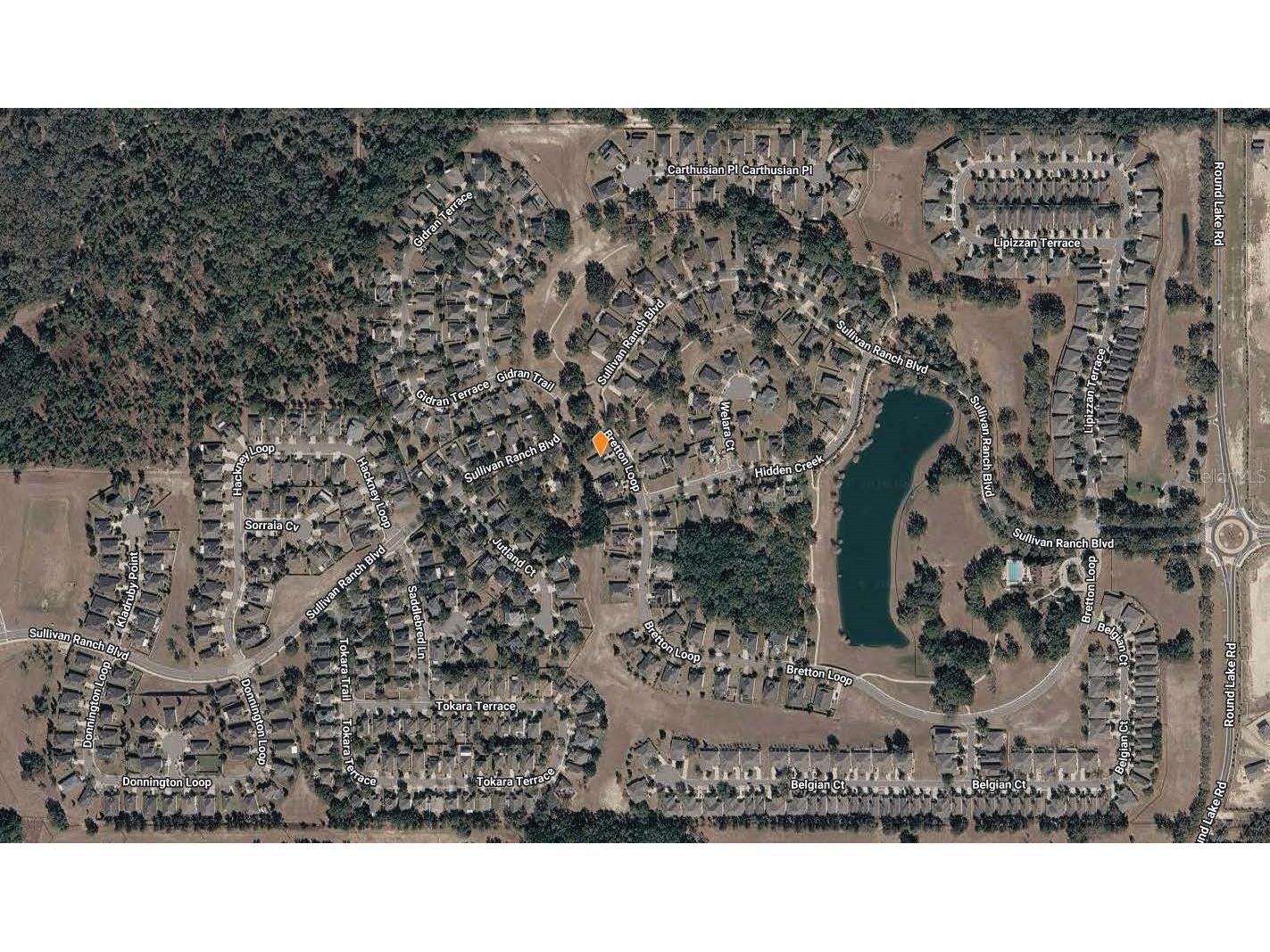 30101 Bretton Loop Mount Dora FL 32757 O6351059 image41