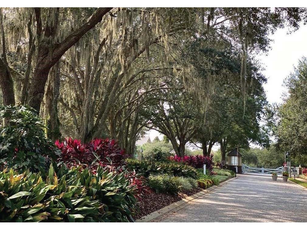 30101 Bretton Loop Mount Dora FL 32757 O6351059 image43