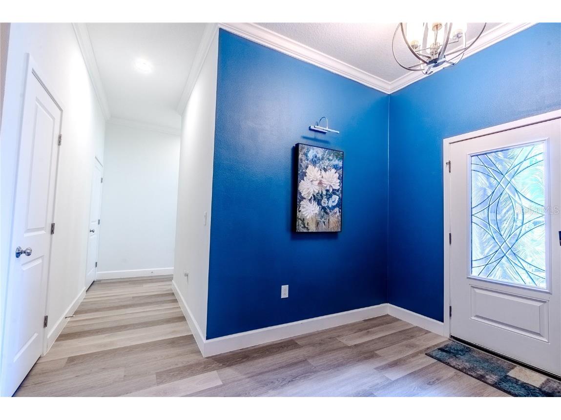 30101 Bretton Loop Mount Dora FL 32757 O6351059 image5