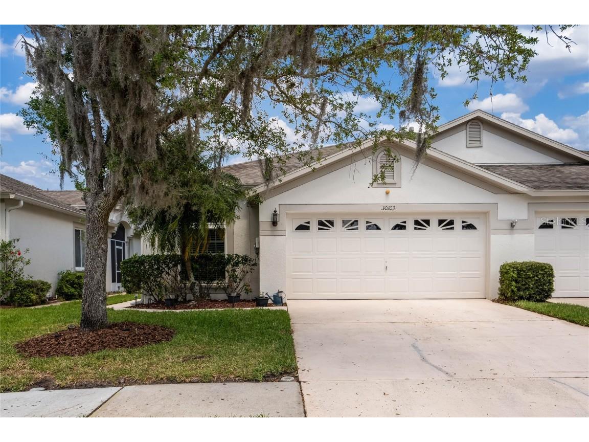30103 Emmetts Court Wesley Chapel FL 33543 O6102277 image1