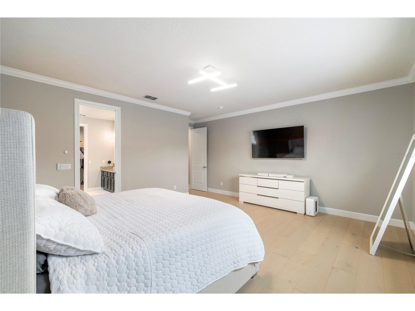 30106 Kladruby Point Mount Dora FL 32757 G5105348 image27