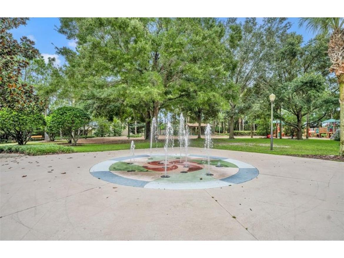 30106 Kladruby Point Mount Dora FL 32757 G5105348 image68