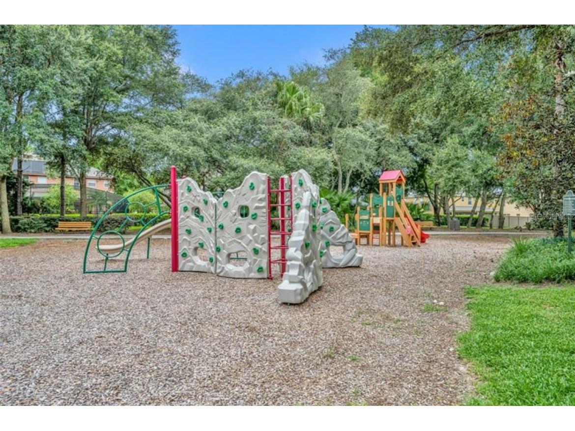 30106 Kladruby Point Mount Dora FL 32757 G5105348 image69