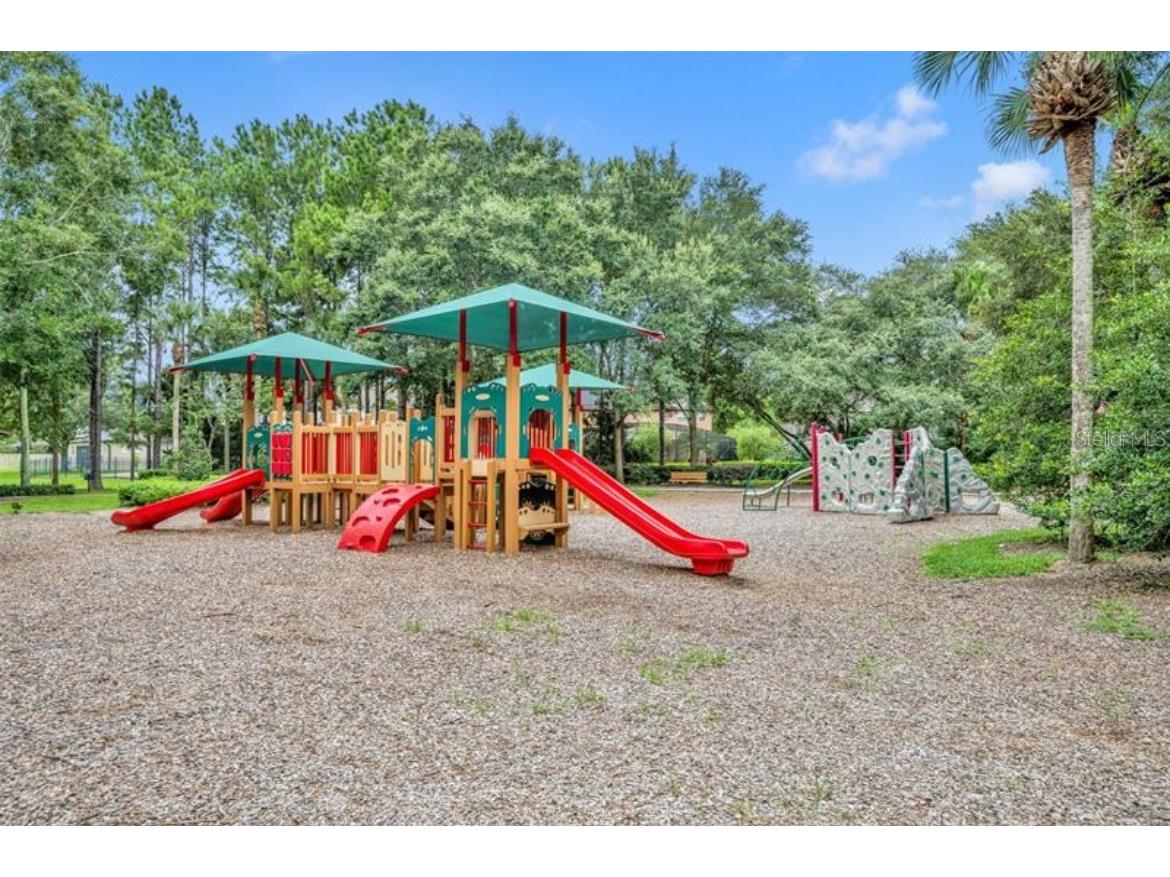 30106 Kladruby Point Mount Dora FL 32757 G5105348 image70