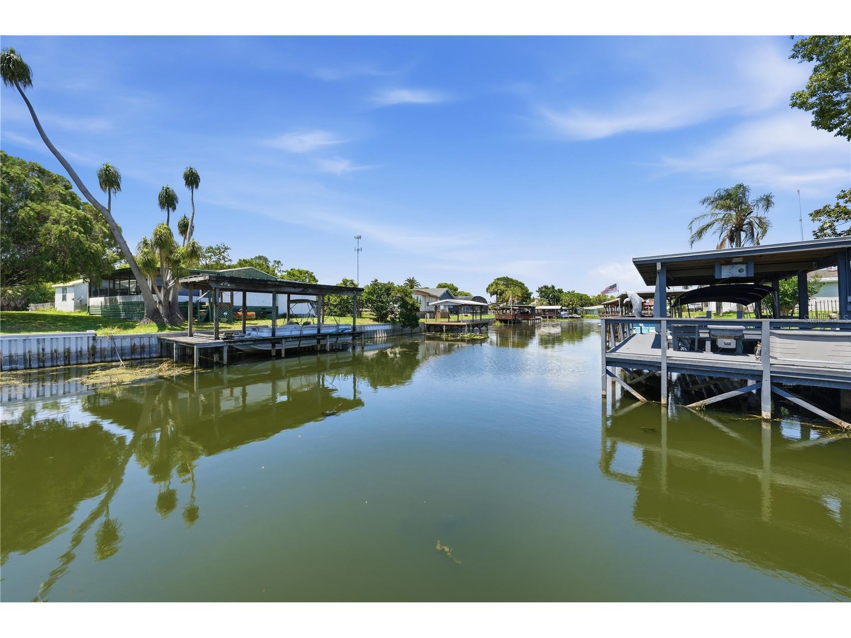 30107 Green Bay Drive Tavares FL 32778 - HARRIS CHAIN OF LAKES G5112841 image1