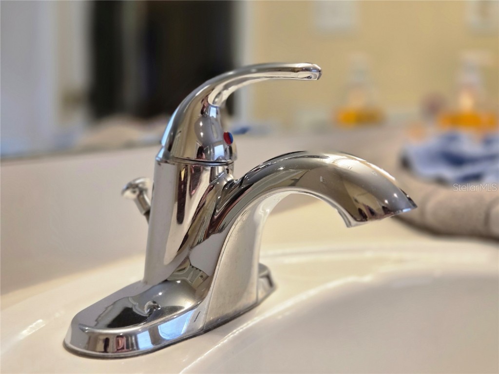 3011 Bransbury Court Kissimmee FL 34747 S5113614 image25