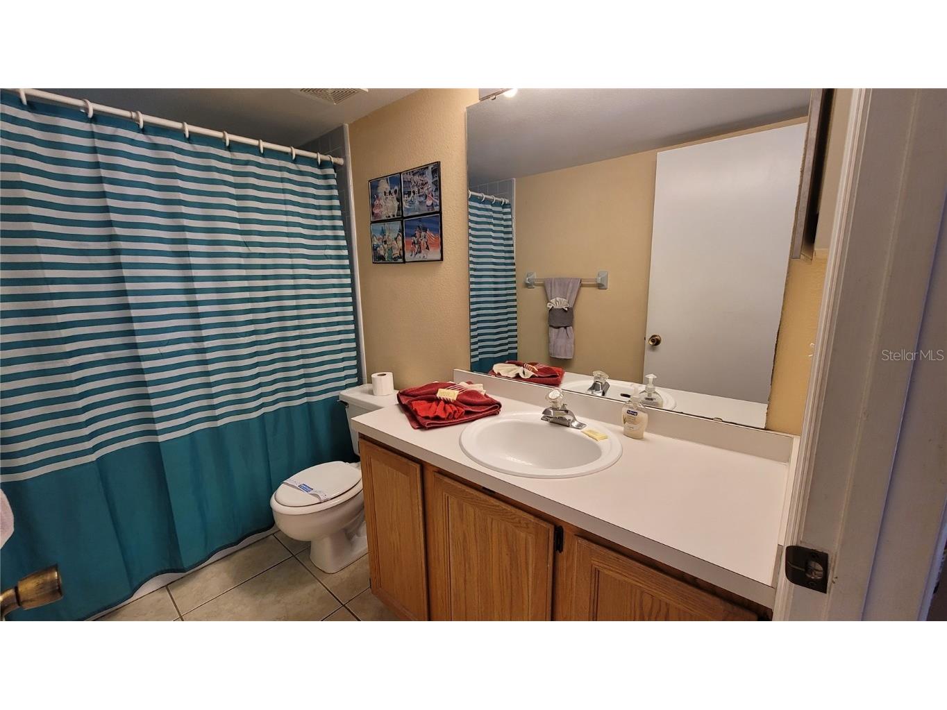 3011 Bransbury Court Kissimmee FL 34747 S5113614 image34