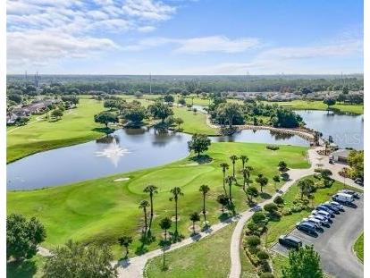 3011 Cottage Grove Court #2003 Orlando FL 32822 TB8396662 image13