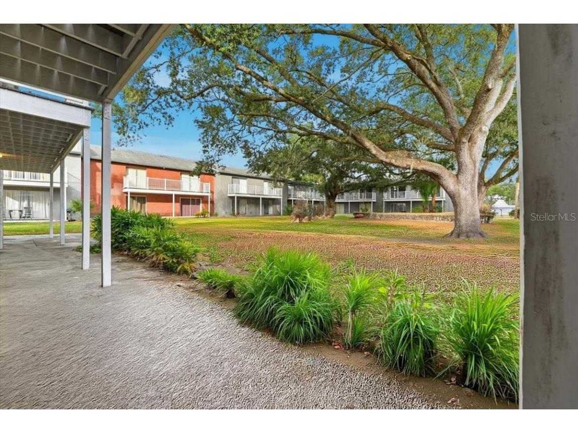 3011 George Mason Avenue #3 Winter Park FL 32792 O6368606 image14