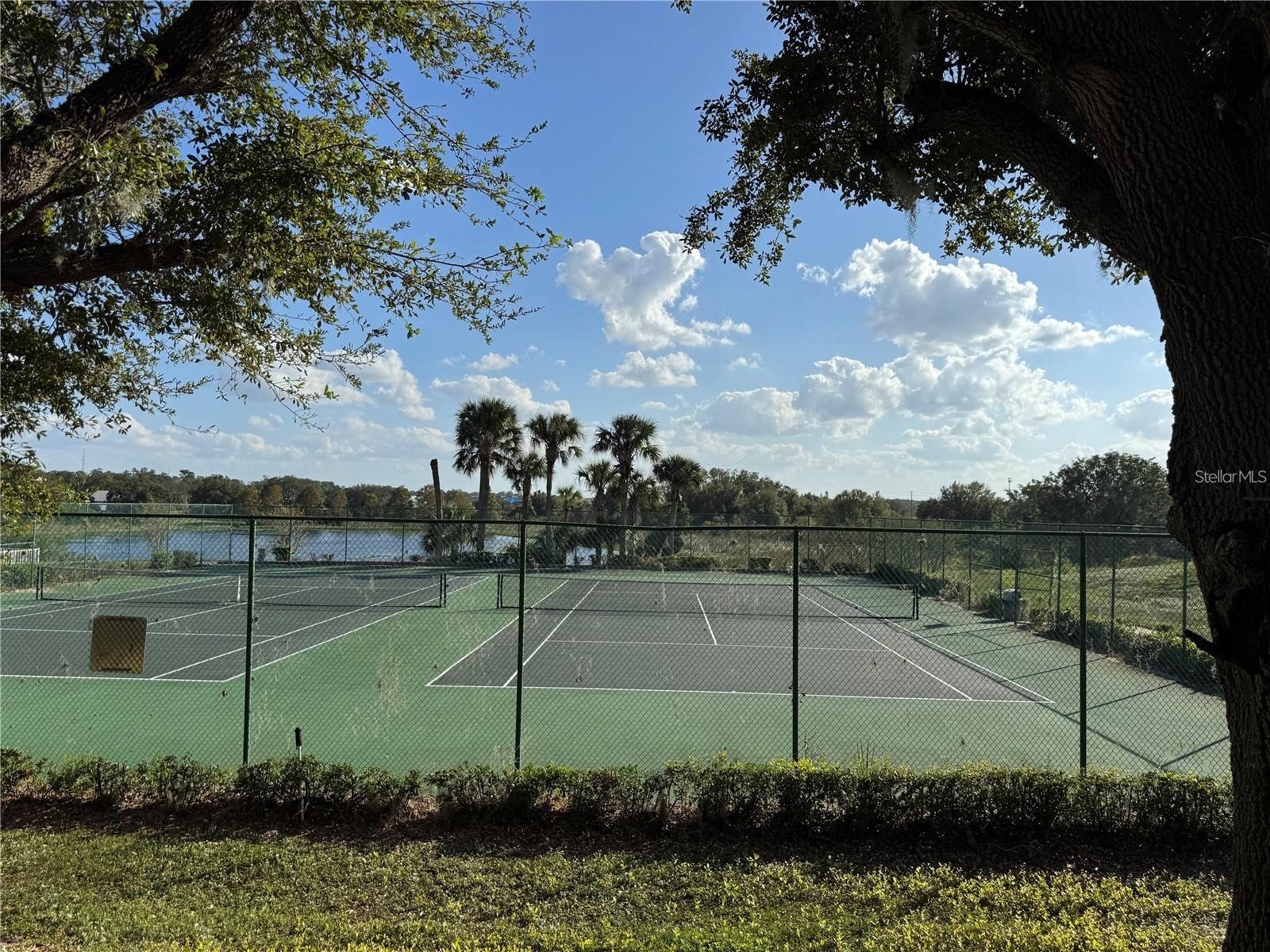 3011 Hemingway Circle #3011 Haines City FL 33844 S5148555 image20
