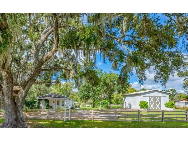 3011 Lewis Road Dover FL 33527 TB8435489 image1