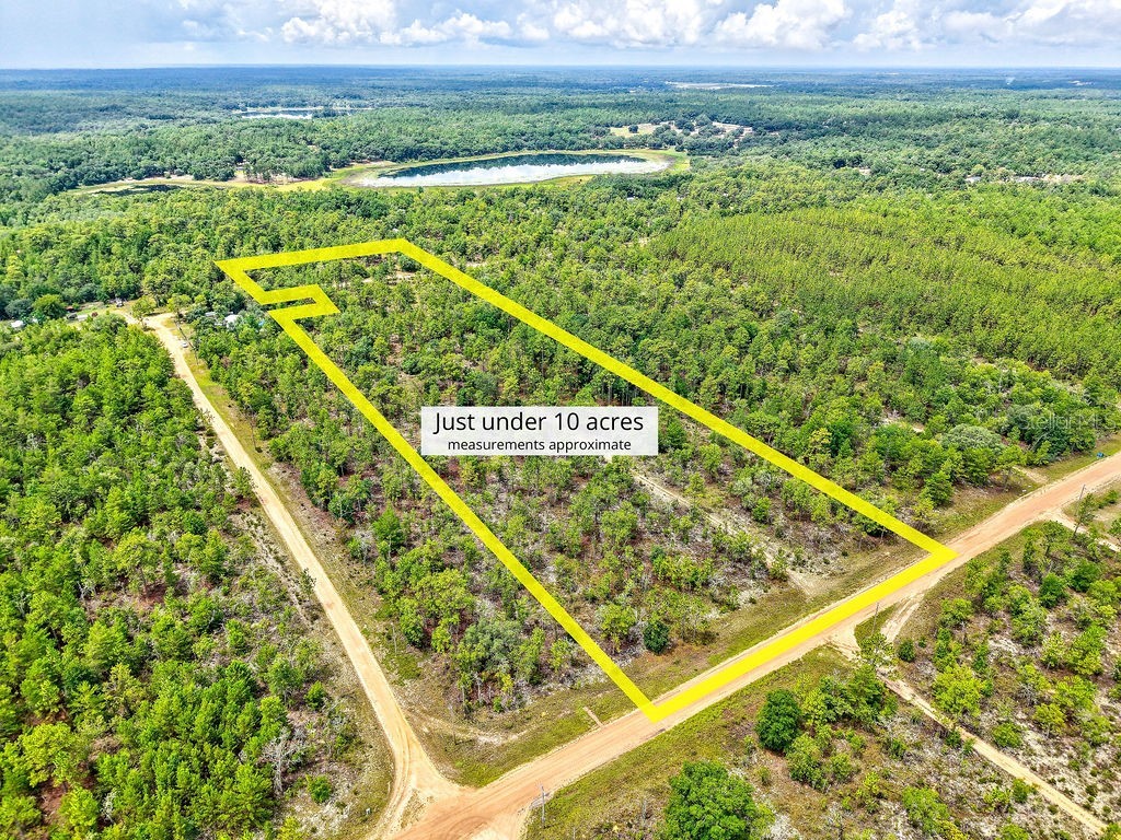 3011 Main Street Hawthorne FL 32640 TB8401995 image1