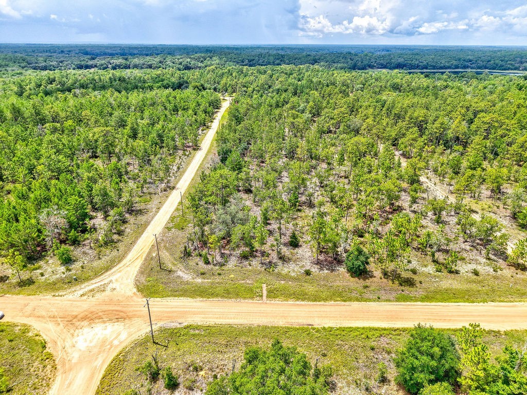 3011 Main Street Hawthorne FL 32640 TB8401995 image11