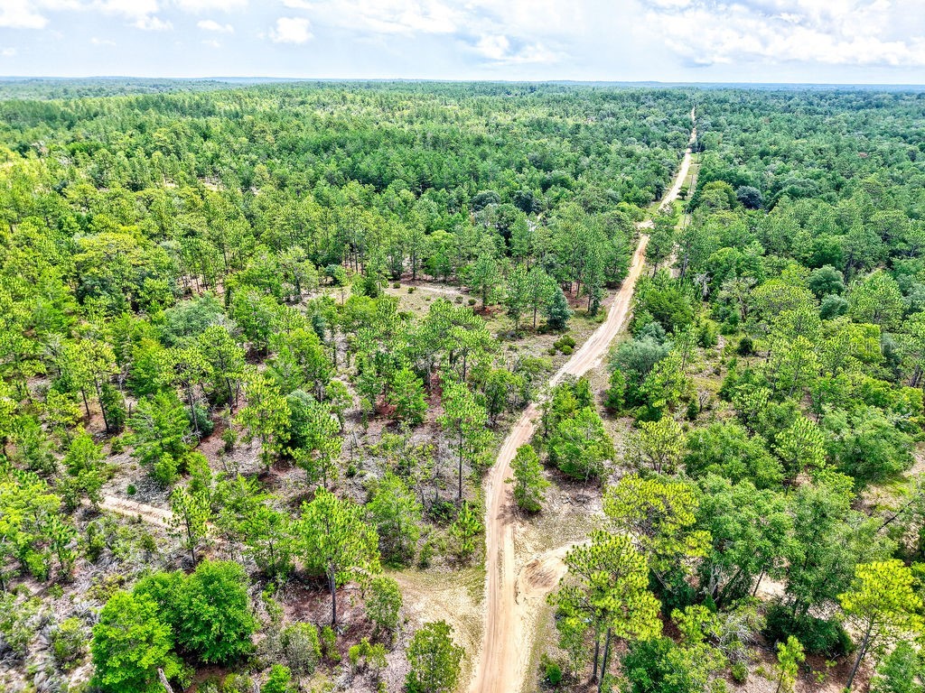 3011 Main Street Hawthorne FL 32640 TB8401995 image12