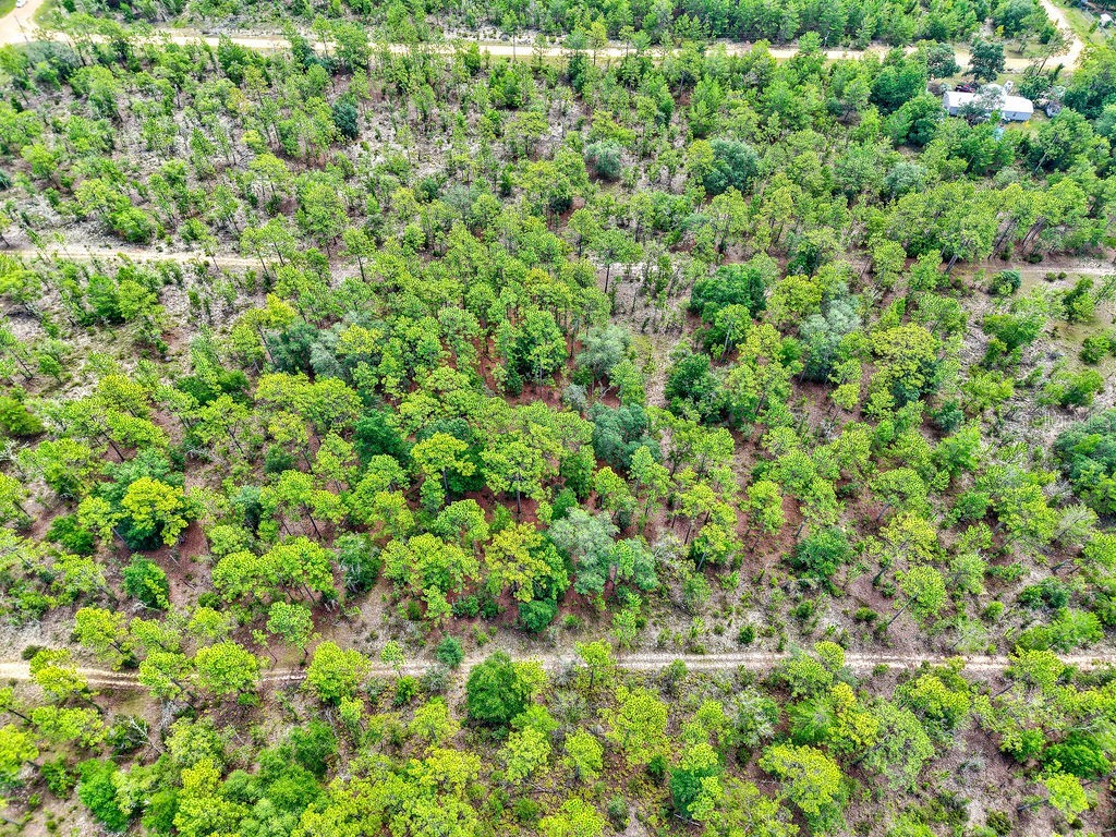 3011 Main Street Hawthorne FL 32640 TB8401995 image13