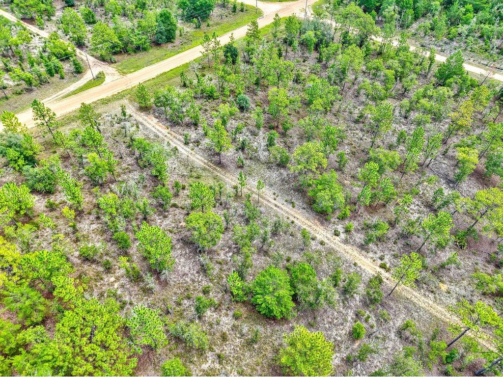 3011 Main Street Hawthorne FL 32640 TB8401995 image14