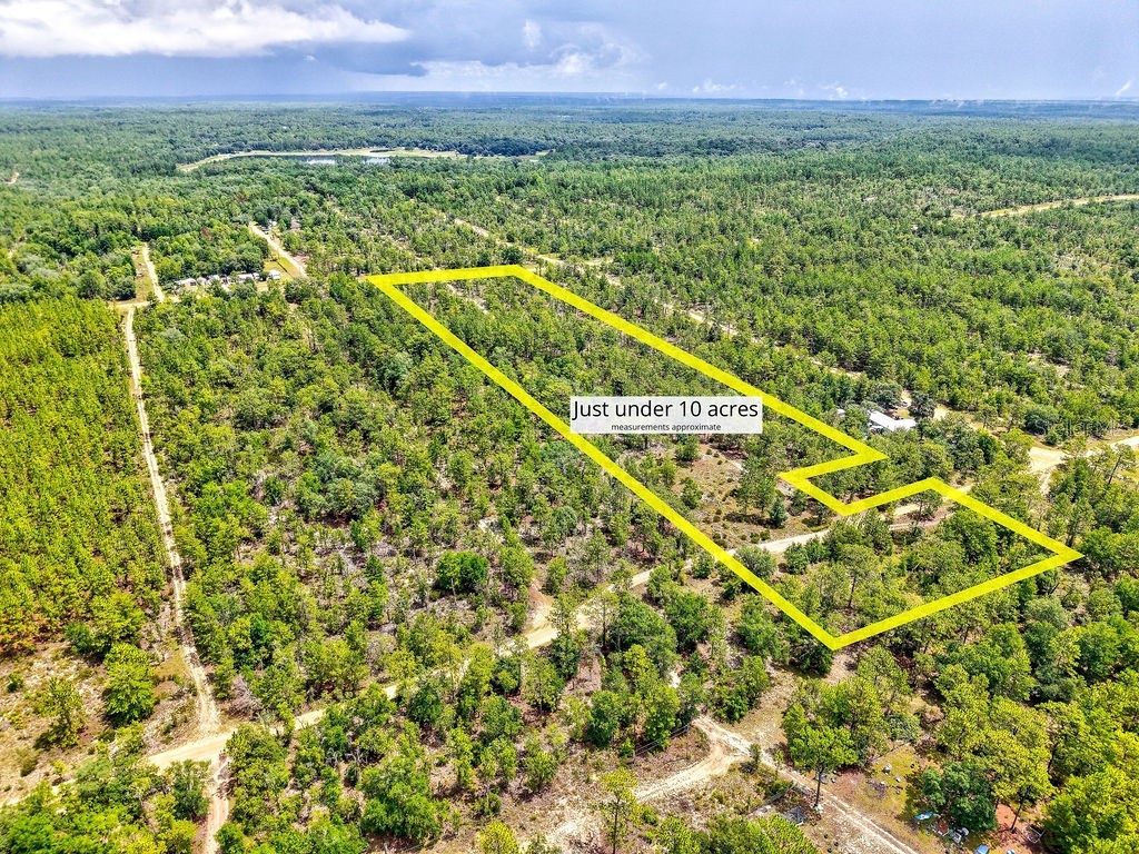 3011 Main Street Hawthorne FL 32640 TB8401995 image2